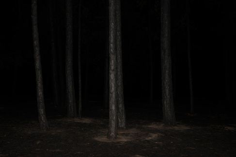 Becoming WIlderness VII